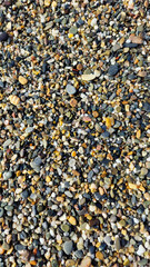 Colorful assortment of small pebbles and gravel stones scattered across a surface, showcasing natural textures and earthy tones in a vibrant outdoor environment