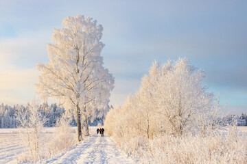 Beautiful winter day with frosty trees and people walking on a path