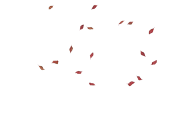 Minimal sparse deep red autumn leaves subtly scattered across white background with generous negative space, ideal for clean modern designs, minimalist seasonal graphics, contemporary aesthetics,