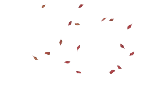Minimal sparse deep red autumn leaves subtly scattered across white background with generous negative space, ideal for clean modern designs, minimalist seasonal graphics, contemporary aesthetics,
