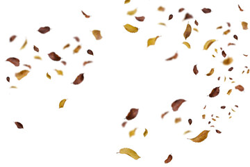 Vibrant mixed golden, brown, and burgundy autumn leaves in dynamic scattered arrangement on white background, perfect for energetic fall designs, colorful seasonal graphics, festive decorations,