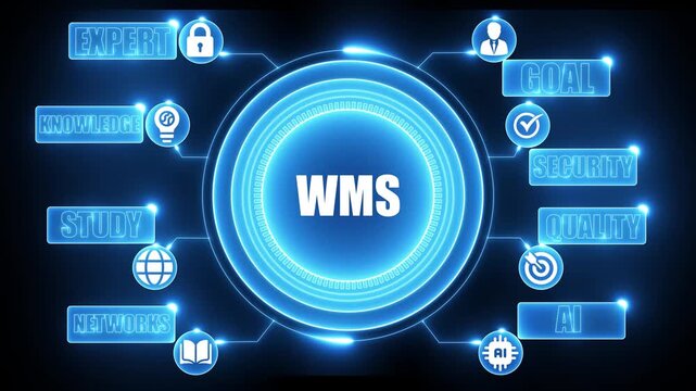WMS business concept diagram with icons and text