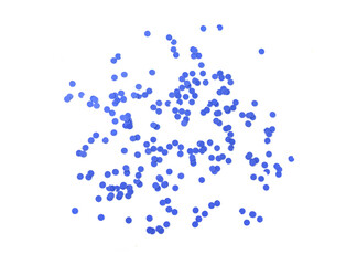 Confetti circles isolated. Round paper party confetti pattern