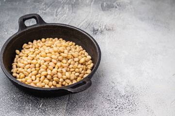 Raw pine nuts arranged in a small cast iron dish on a slate plate over a light textured surface creating a clean contrast for recipe and food visuals