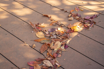 Autumn transforms the landscape with warm hues of gold and red, crisp air, and gentle sunlight.