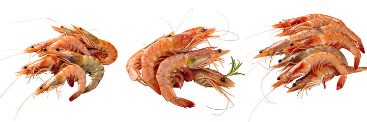 Set of A Pile of Shrimp or Clear Surface isolated on a transparent background