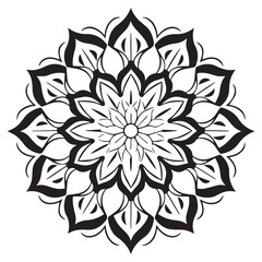 Detailed Flower Line Art Illustration