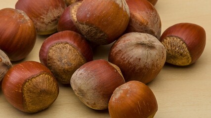 A pile of freshly harvested hazelnuts with their husks