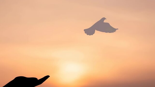 Hand releasing dove silhouette at sunset bird flying from outstretched hand conveying freedom peace in warm orange sky emotional scene