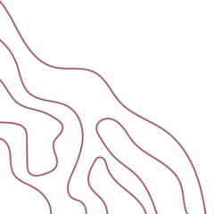 Topographic Abstract Corner