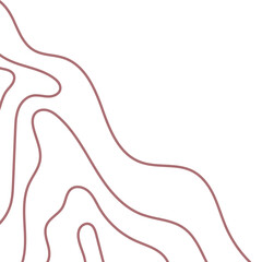 Topographic Abstract Corner