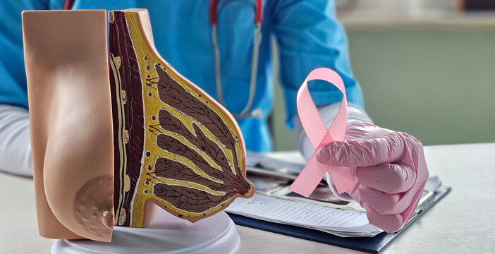 Doctor holding a pink ribbon with a breast model during a consultation about breast health - Powered by Adobe