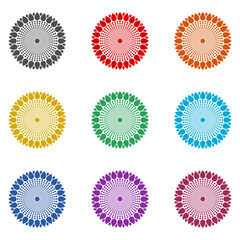 Sunflower icon isolated on white background. Set icons colorful