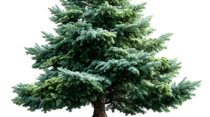 Handcrafted artificial Christmas tree with rich green tones and dense foliage, lifelike winter decor element for modern interiors, isolated on white background 