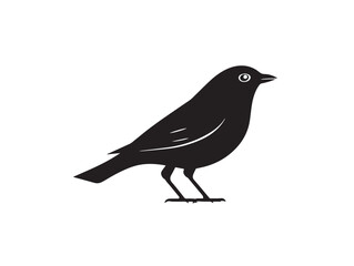 Elegant Crow Illustration Showing Beautiful Minimal Wildlife Concept  