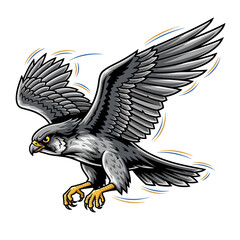 Dynamic falcon soaring with wings spread in powerful flight, perfect for branding, sports, or symbolizing freedom and strength in your next creative project
