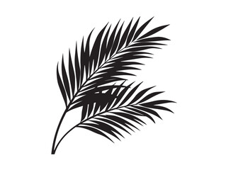 Beautiful Stylish Palm Leaves Symbol in Clean Minimal Monochrome Design