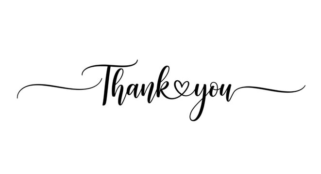 Thank you handwritten calligraphy on white background  