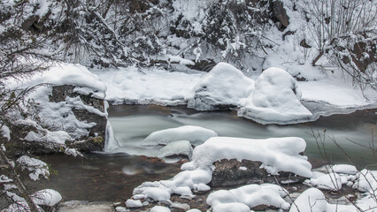 stream in the forest