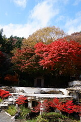 The autumn leaves during this season are beautiful