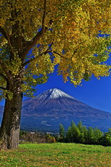 The autumn leaves during this season are beautiful