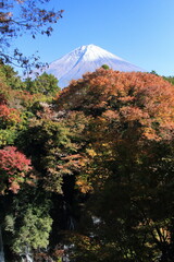 The autumn leaves during this season are beautiful