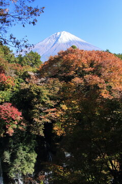 The autumn leaves during this season are beautiful