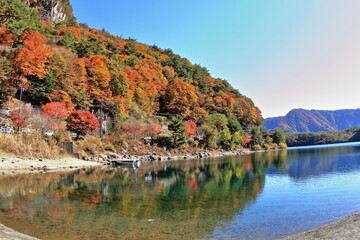 The autumn leaves during this season are beautiful