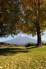 The autumn leaves during this season are beautiful