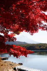 The autumn leaves during this season are beautiful