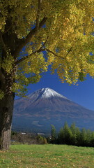 The autumn leaves during this season are beautiful