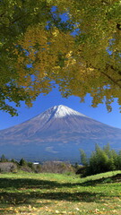 The autumn leaves during this season are beautiful