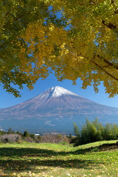 The autumn leaves during this season are beautiful