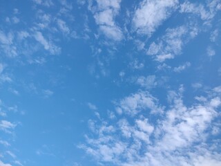 東京のそら(25.11.19）