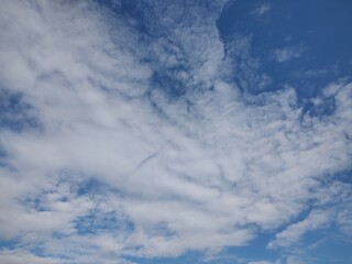 東京のそら(25.11.19）