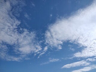 東京のそら(25.11.19）