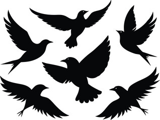 Obraz premium Flying Birds Silhouette Set – Flock of Birds Vector Illustration