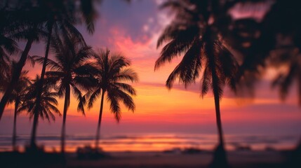 Obraz premium Sunset palm trees beach
