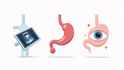Gastric Health, Scan, And Wellbeing