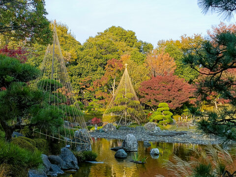 Tranquil Japanese garden in autumn featuring vibrant fall foliage reflecting in a calm pond, with a traditional stone lantern nestled among mossy rocks