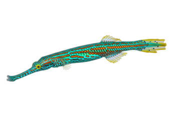 Ornate ghost pipefish isolated PNG on transparent background, colorful solenostomus paradoxus with intricate patterns for marine life designs
