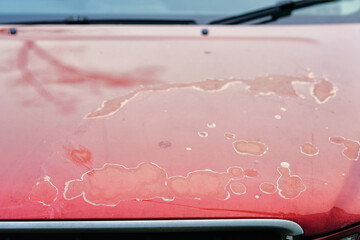 Red car hood surface with cracked and peeling clear coat closeup detail. Paint damage, fading color, and exterior automotive finish maintenance problem. Peeling clear coat. Selective focus