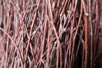 Close-up of intertwined dried willow twigs, showcasing their thin, elongated form and smooth texture. The twigs exhibit a reddish-brown hue, with some tiny buds visible
