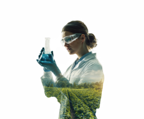 Lady scientist looking at ampoule with with laboratory, aromatic, medication, ampoule, immunisation, natural, aromatherapy