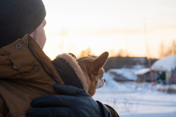 Red and white Chihuahua dog in man's hands watching the sunset with his dog's owner in winter