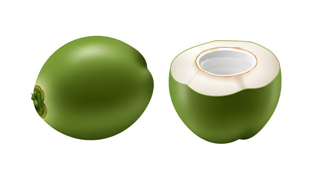 Fresh young coconut, half-sliced, isolated on white for healthy food menus or fruit juice illustrations.