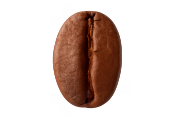 Single roasted whole coffee bean transparent background