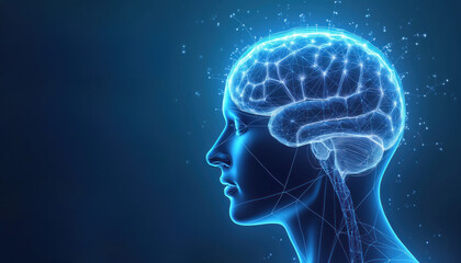 Human brain neural network illustration on blue backdrop. Head side view with ai tech concept. Polygon dots connect. Modern graphic design for medical, tech, ai, big data projects. Science anatomy.
