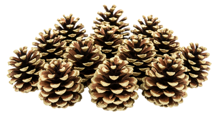 A cluster of natural pine cones with illuminated tips creating a festive holiday decoration isolated on transparent background