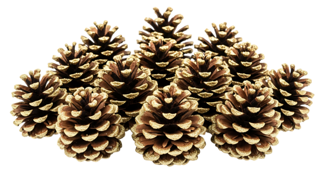A cluster of natural pine cones with illuminated tips creating a festive holiday decoration isolated on transparent background